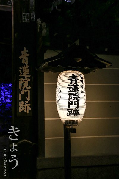 IMG_1537.jpg