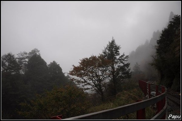 DSC_0597.jpg