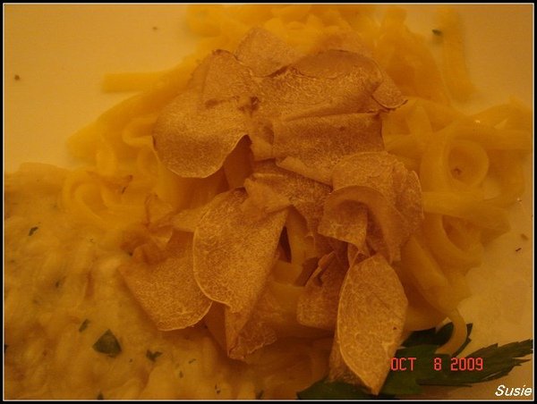 DSC02912.jpg