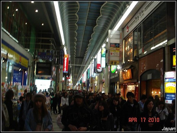 DSC08538.jpg