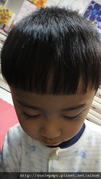 DSC02742.JPG