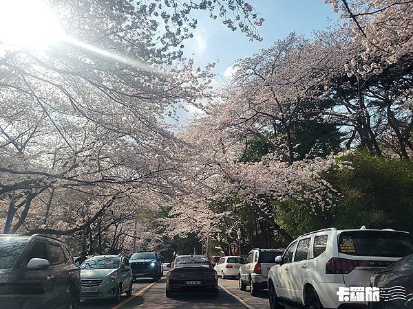 釜山自由行｜自駕兩日分享｜韓國本島自駕．不會韓文也能開