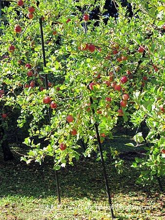 IMG_4593_1.jpg
