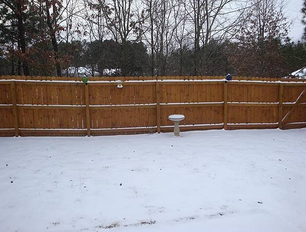 snowing