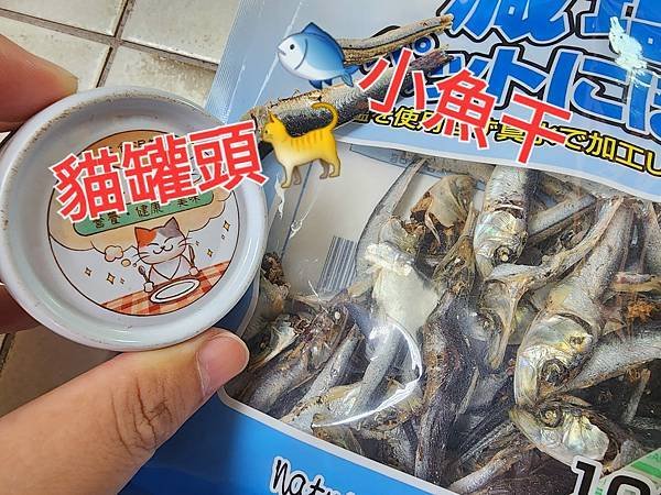 體驗｜化毛、口腔保健、益菌補充、嗯嗯不臭四效合一【沛威貓保健