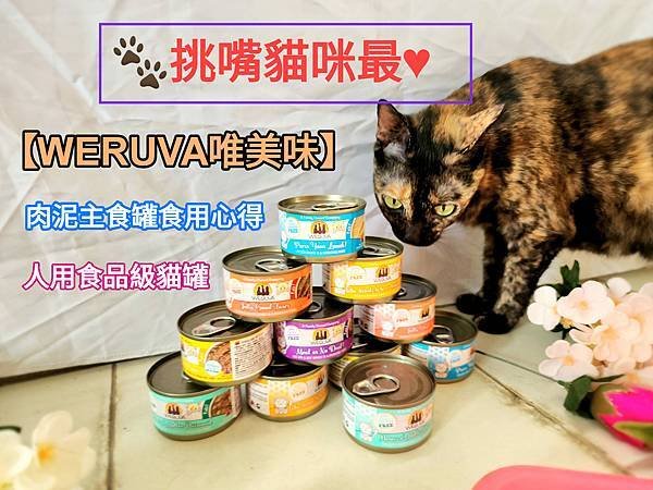 體驗｜新鮮食材，罐罐美味～【WERUVA唯美味】貓咪PATE