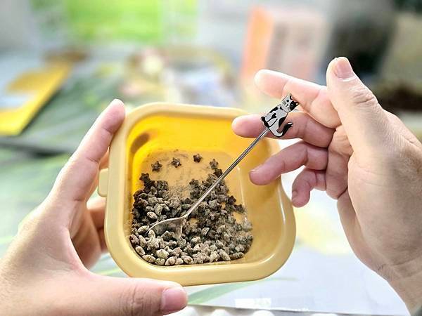 體驗｜日常、孕期、病後營養補充調理推薦：愛貓品牌【珮慈星系 