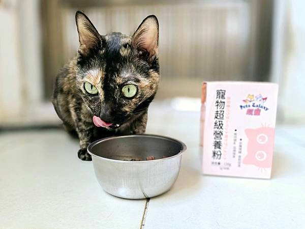體驗｜日常、孕期、病後營養補充調理推薦：愛貓品牌【珮慈星系 