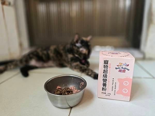 體驗｜日常、孕期、病後營養補充調理推薦：愛貓品牌【珮慈星系 