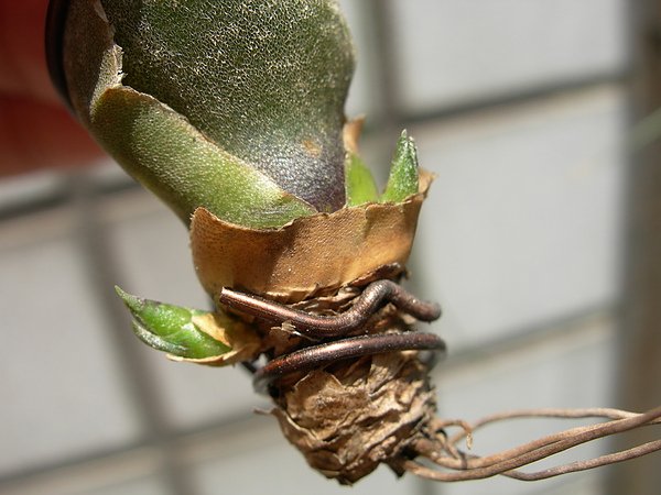 DSCN2474.JPG