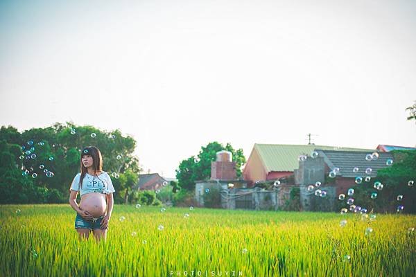 DSC_2546.jpg