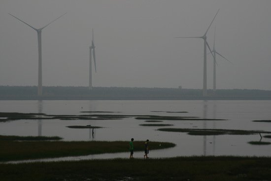 高美芳苑兩濕地