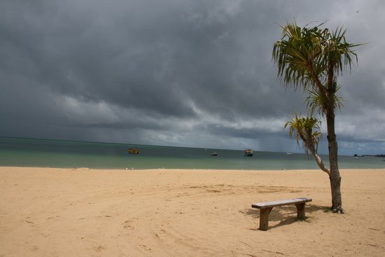 03 原始生命莫瑞頓沙島 Moreton Island