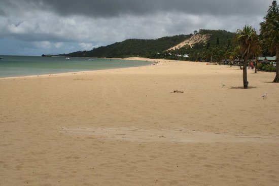 03 原始生命莫瑞頓沙島 Moreton Island