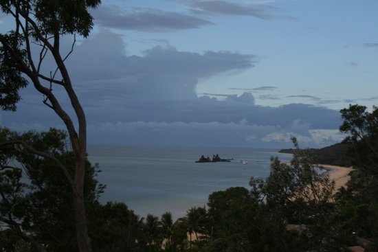 03 原始生命莫瑞頓沙島 Moreton Island