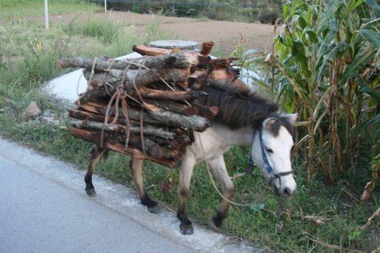 06受困六小時：遙遠瀘沽湖故事  LuGuHu  YunNan China