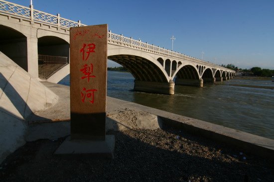 04 葵花田。賽里木湖水。伊寧  新疆