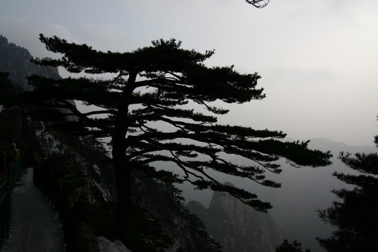 05 黃山初雪天都峰 中國大陸