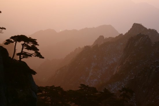 08 臥虎藏龍翡翠谷   黃山   中國大陸