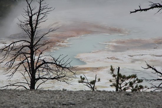 08 Mammoth Hot Springs （黃石公園）