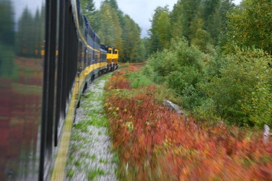 07 阿拉斯加火車行 alaska