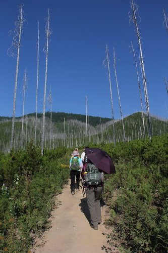 15	Glacier National Park （冰河之旅Apgar）