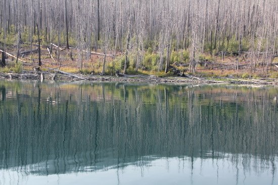 15	Glacier National Park （冰河之旅Apgar）