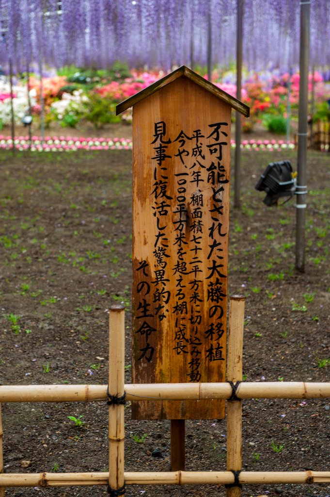 20160428黑部17.jpg