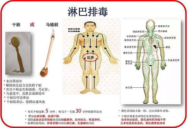 干刷淋巴排毒-图片V01.jpg