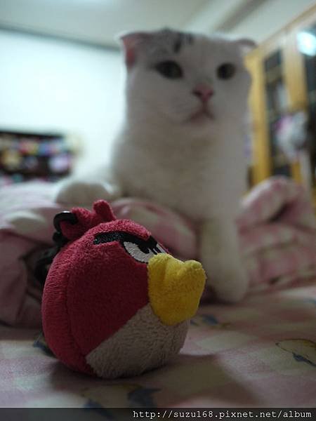 P1070110.JPG