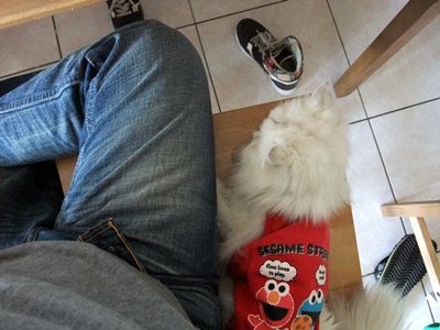 DSCF6916.JPG