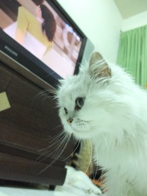 DSCF5139.JPG