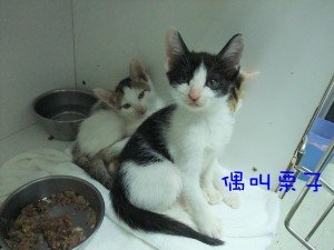 DSCF1336.jpg