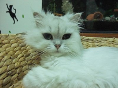 DSCF5022.JPG