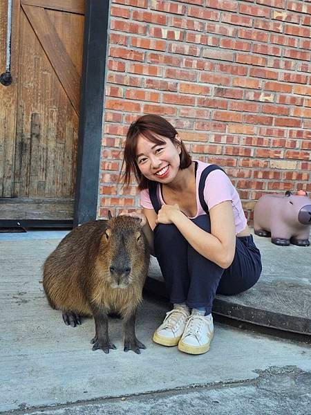 「紅磚園邸」——新北樹林隱藏版親子餐廳，品味美食與萌系動物共