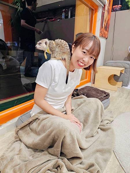 Meerkat75 Café：台北必訪的可愛狐獴餐廳，療癒美