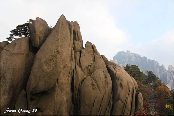 黃山-026