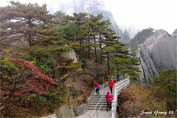 黃山-029