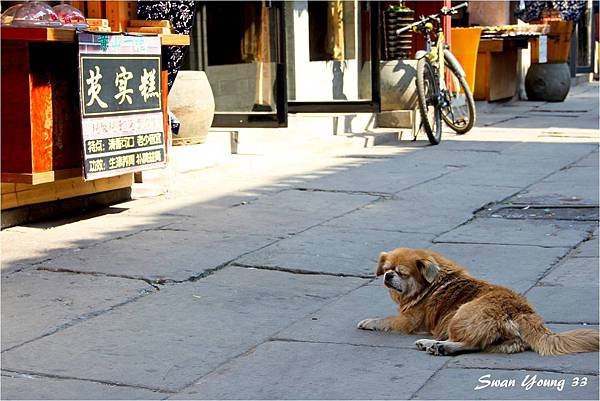 屯溪老街-20