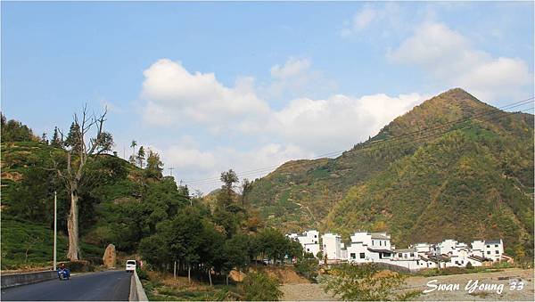 黃山行點滴-14