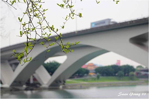 碧潭-04.jpg