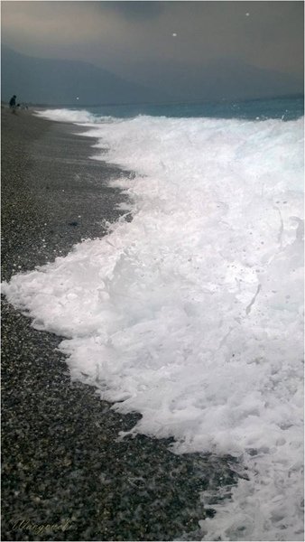火車環島-236