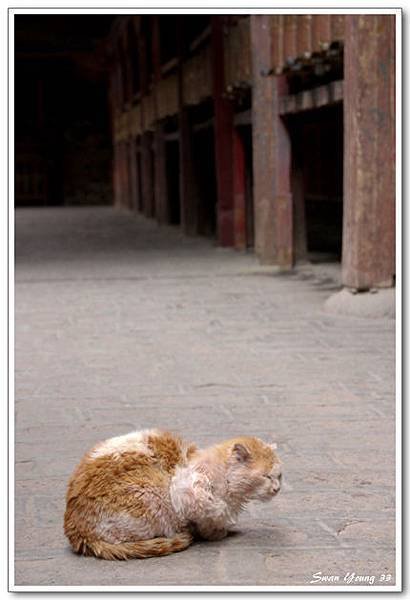 桑耶寺-26