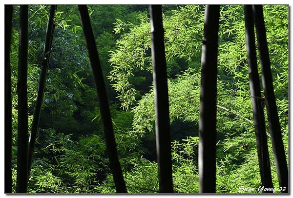 四洞溝-21.jpg