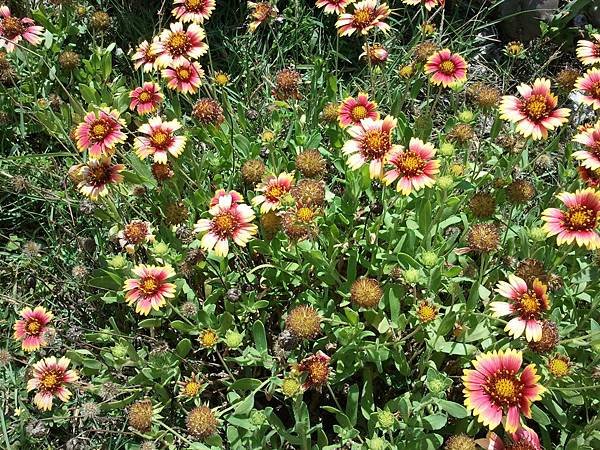 2011-06-18 11.42.35.jpg