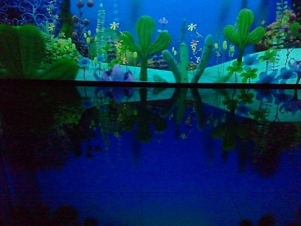 2010-12-03 11.07.57.jpg