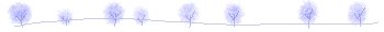 5.gif