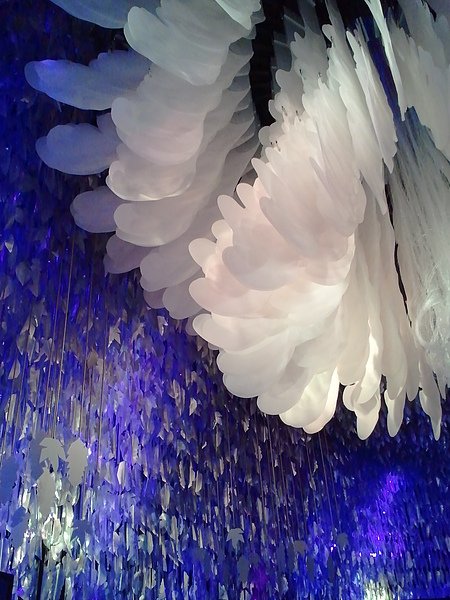 2010-12-03 18.57.17.jpg