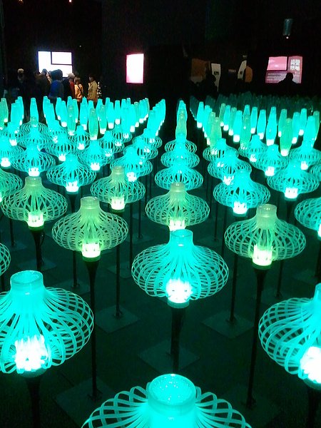 2010-12-03 19.42.31.jpg