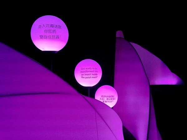 2010-12-03 19.12.55.jpg